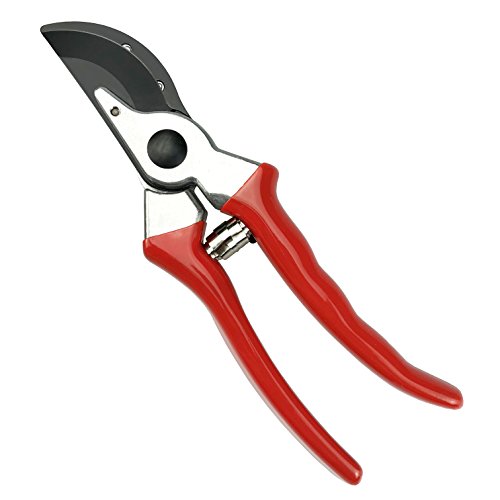 Pruning Shears, JEOutdoors Professional High Carbon Alloy Steel Sharp Blade  Bypass Hand Pruner, Tree Trimmer, Garden Shears 