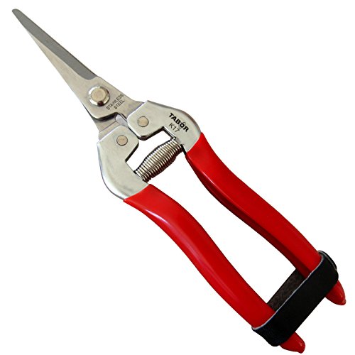 TABOR TOOLS Pruning Shears, Florist Scissors, Multi-Tasking Garden Snips for Arranging Flowers, Trimming Plants and Harvesting Herbs, Fruits or Vegetables. K17E. (Straight, Stainless Steel Blades)