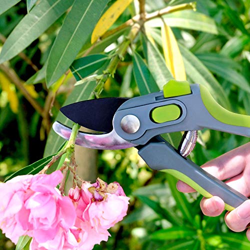 https://www.thegardentools.com/cdn/shop/products/517dBGvgDyL_800x.jpg?v=1644156474