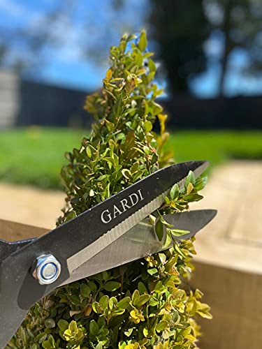 Gardi Orange Serrated Garden Hedge Comfort Grip Shears