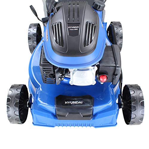 Hyundai Lightweight 40cm 79cc 4 Stroke Push Rotary Petrol Lawnmower, 6 Cutting Central Height Adjustment Lawn Mower, Rust Proof Deck, 3 Year Warranty