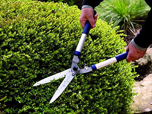 Spear and Jackson 8110RS/09 Razorsharp Hedge Shears, Blue